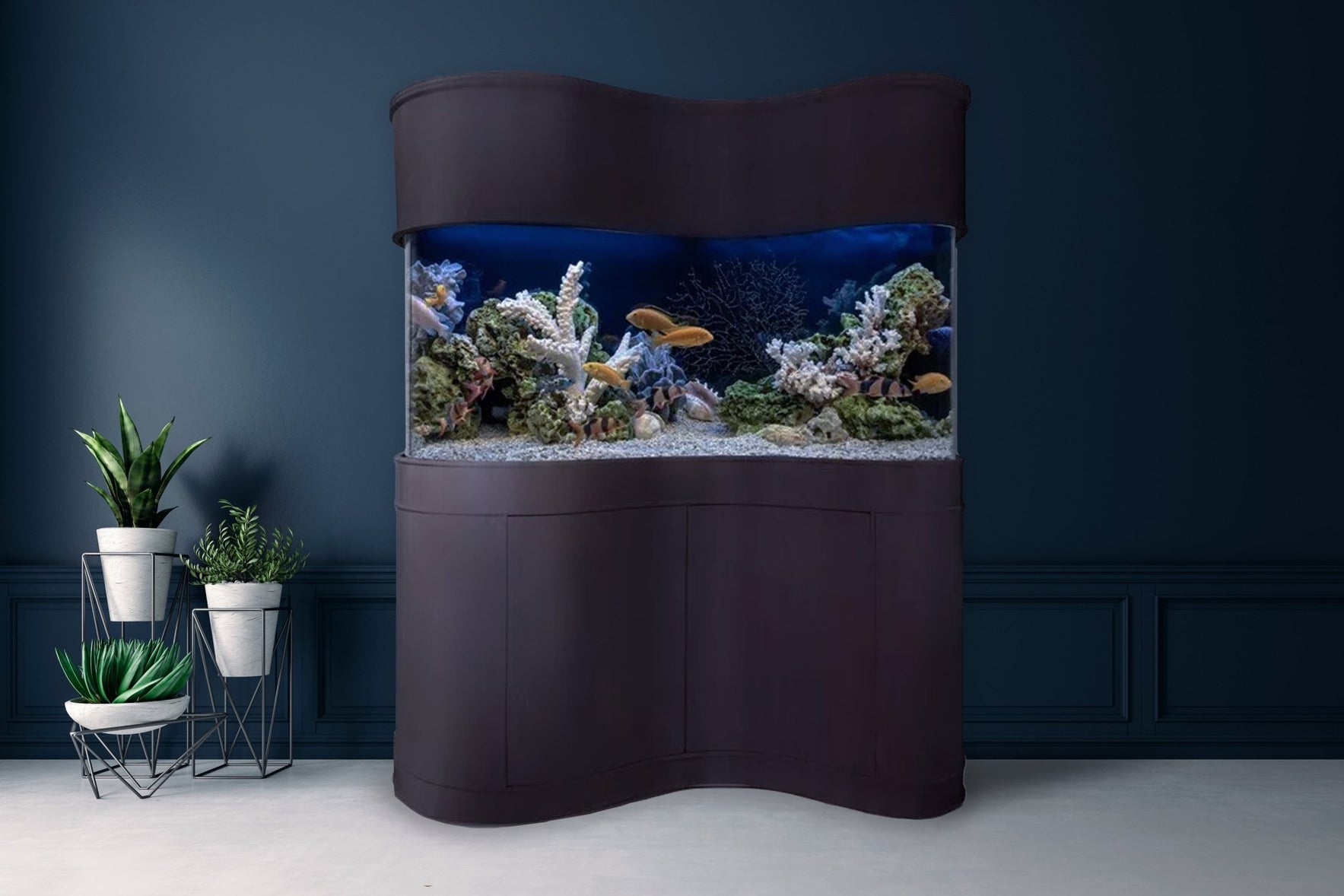 Luxury Aquarium · Cylinder Corner RR Aquariums & Fish Tanks • AQUAVIM ...