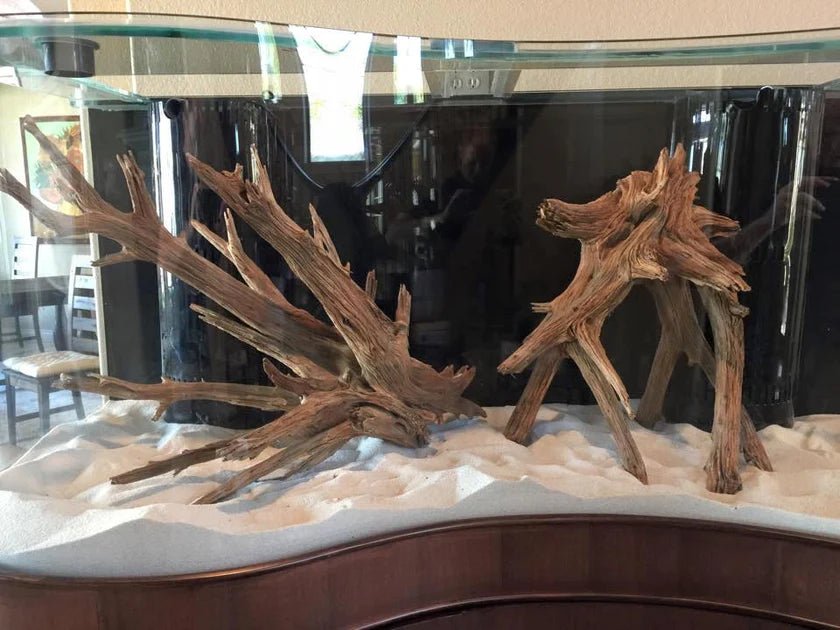 250g Wave Glass Reef-Ready Aquarium Set in Black – AQUA VIM