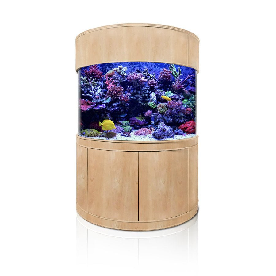 1/2 Cylinder Fish Tank