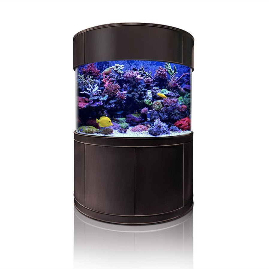 1/2 Cylinder Glass Aquarium