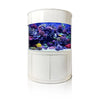 1/2 Cylinder Aquarium Tank