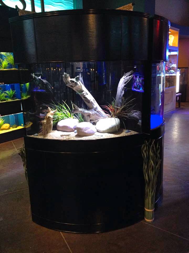 Luxury Corner Aquarium 