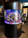 Luxury Cylinder Aquarium 